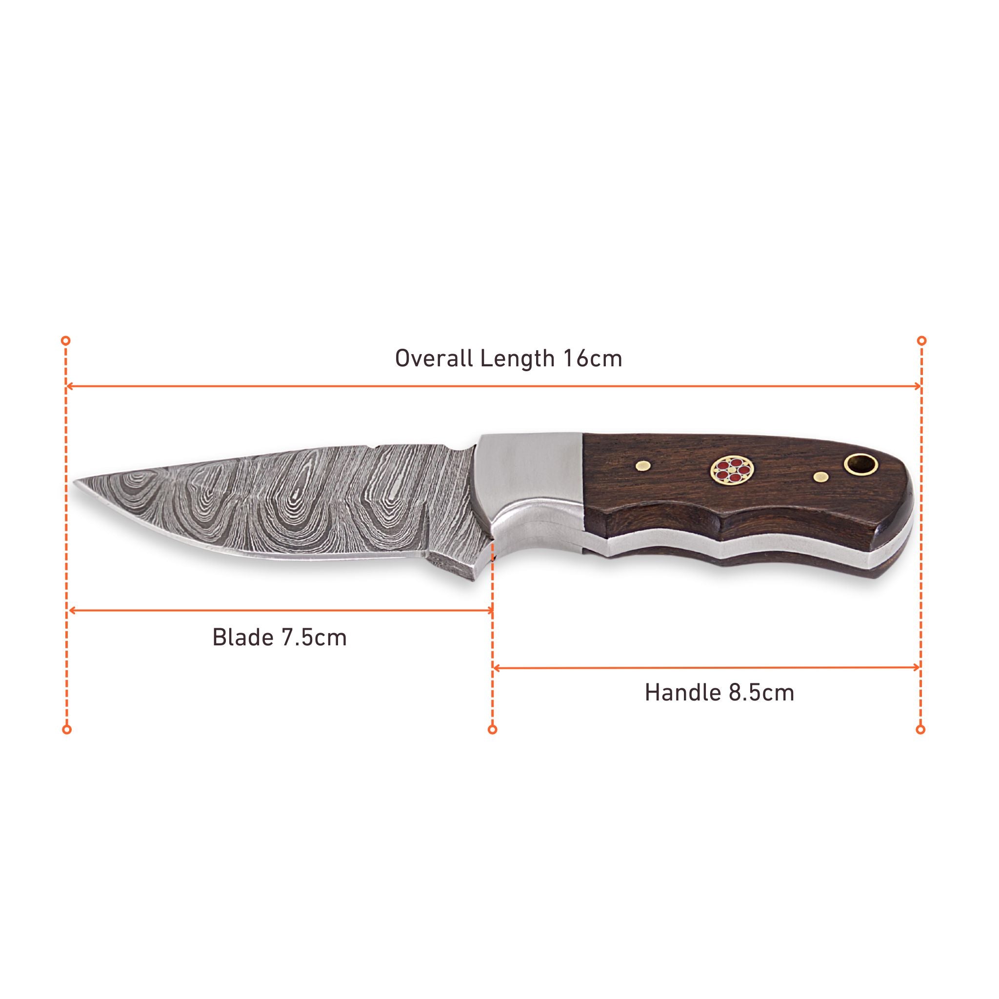 Brio Brisk I, Damascus Steel, Rosewood Handle, Handmade Small Bushcraft Skinner Hunting Knife