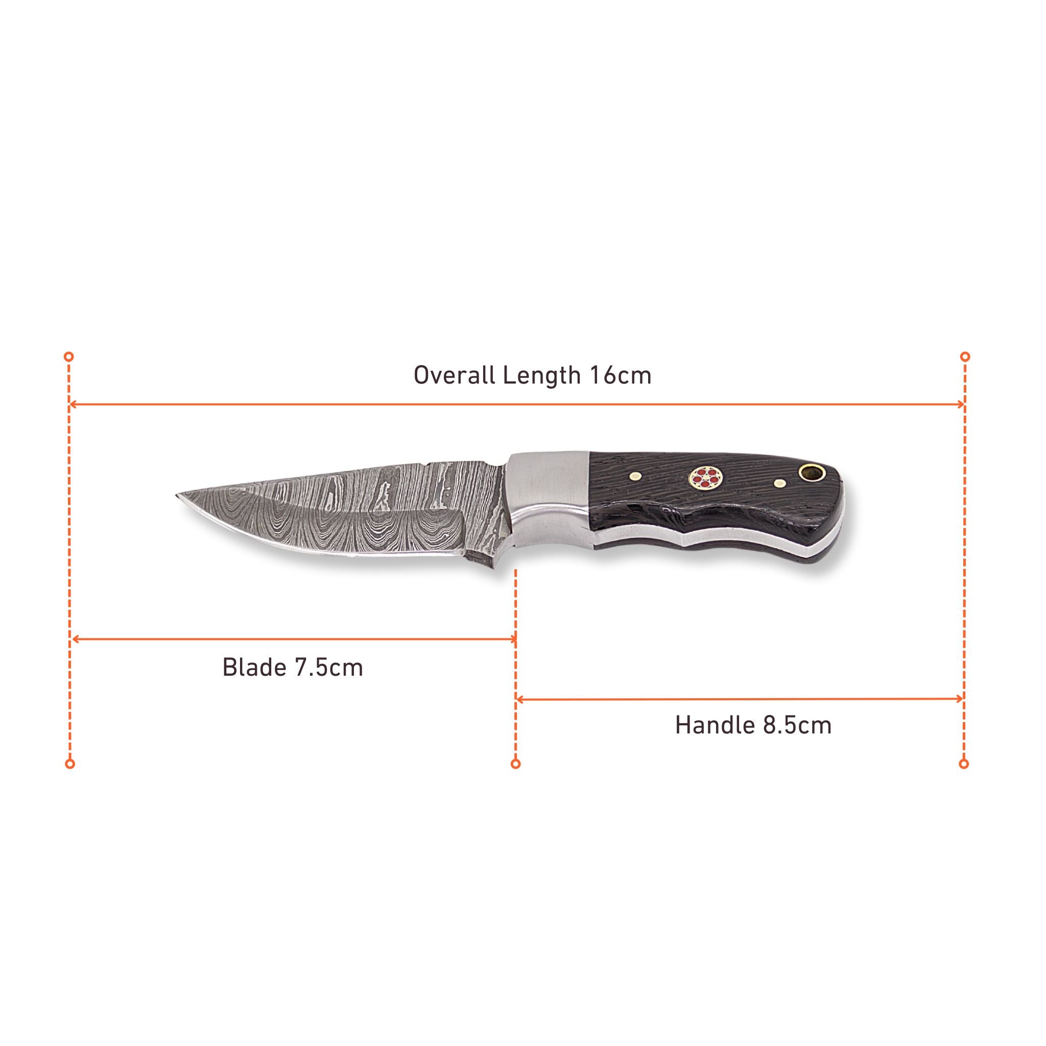 Brio Brisk II, Damascus Steel, Wenge Wood Handle, Handmade Small Skinner Hunting Knife