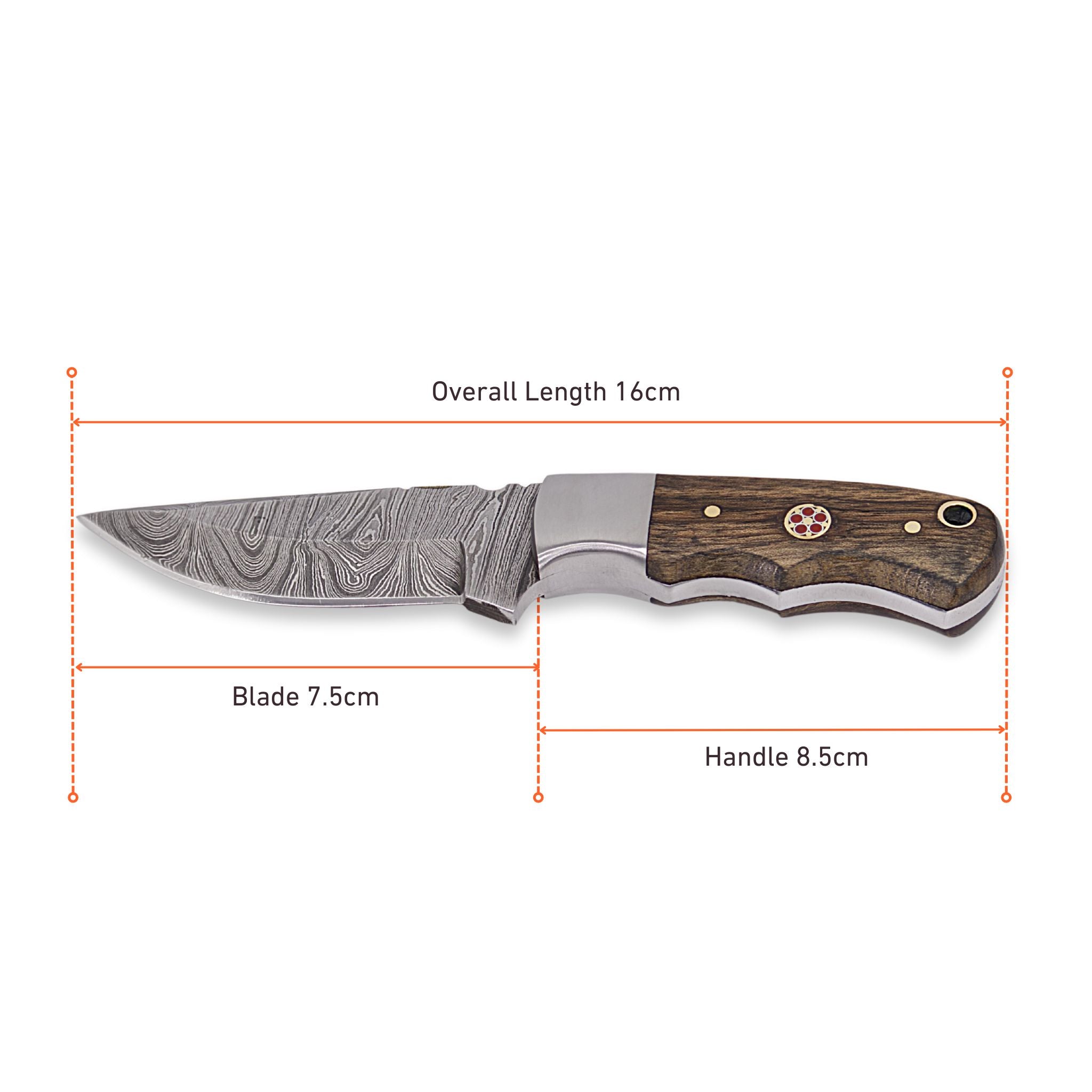 Brio Brisk III, Damascus Steel, Walnut Wood Handle, Handmade Small Bushcraft Skinner Knife