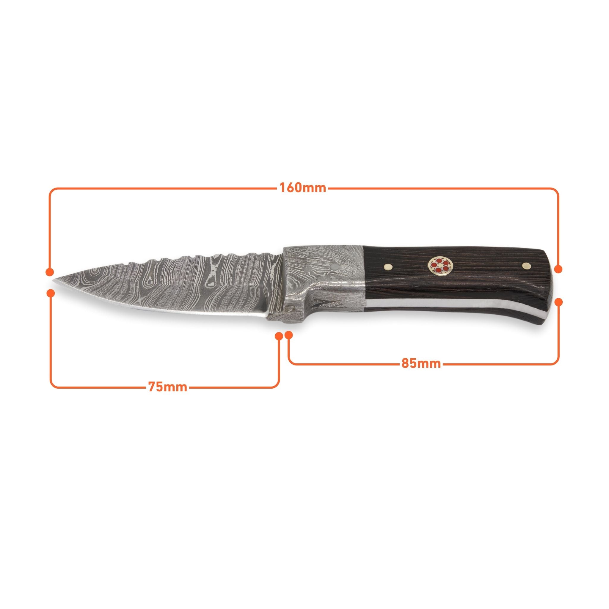 Bush Perk I, Damascs Steel, Wenge Wood Handle, Handmade Small Bruscraft Skinner Hunting Knife