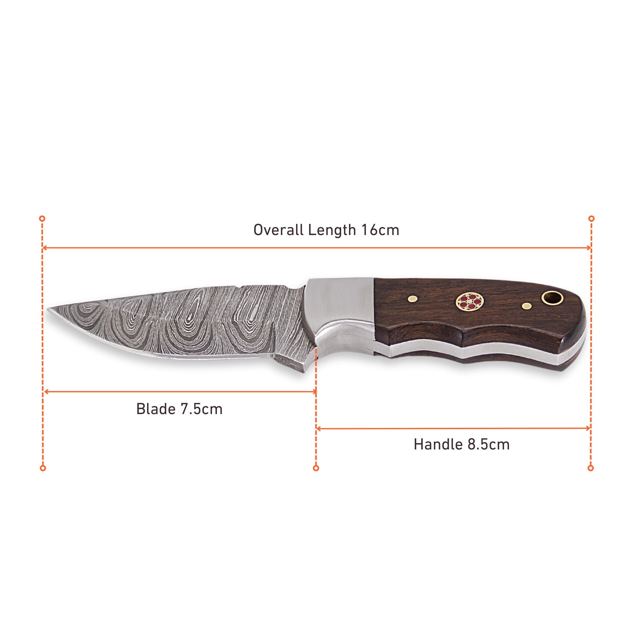 Brio Brisk I, Damascus Steel, Rosewood Handle, Handmade Small Bushcraft Skinner Knife