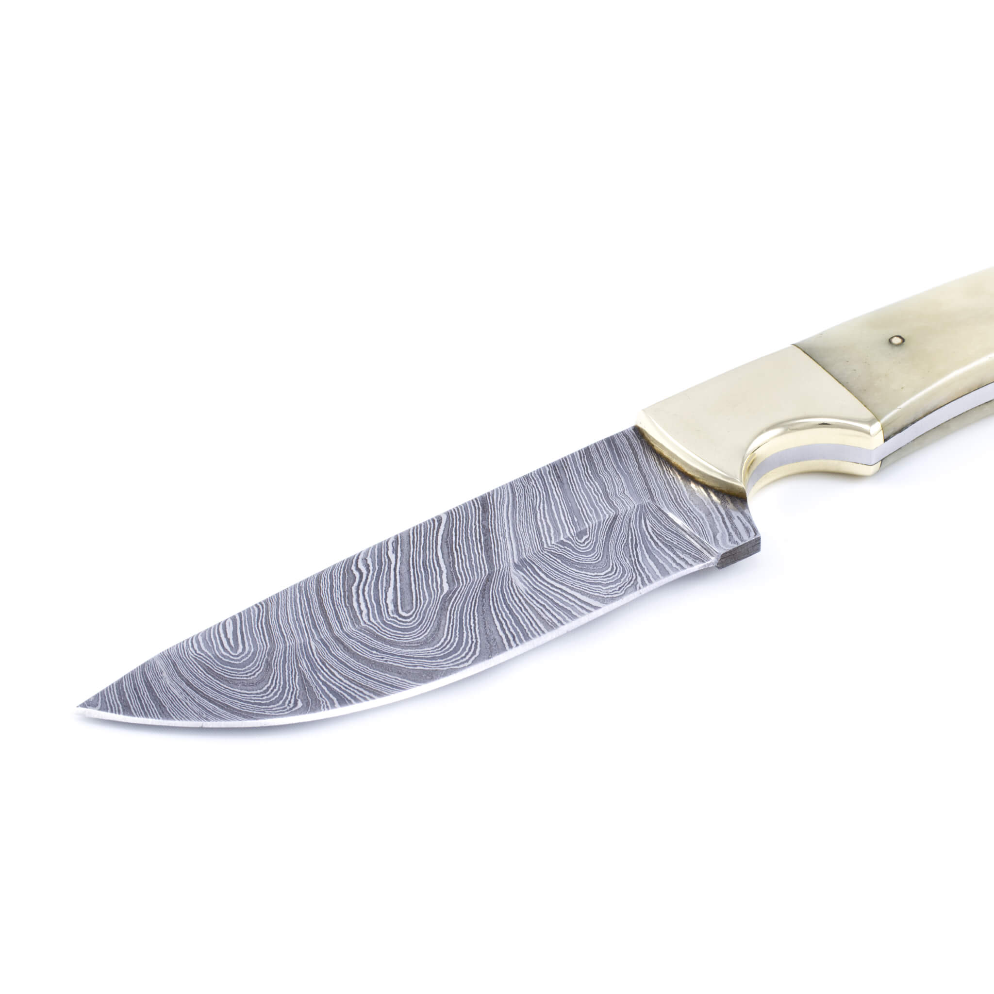 Gutsy Impact I, Damascus Steel, Camel Bone Handle, Medium, Handmade Skinner Hunting Knife